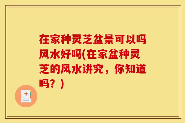 在家种灵芝盆景可以吗风水好吗(在家盆种灵芝的风水讲究，你知道吗？)