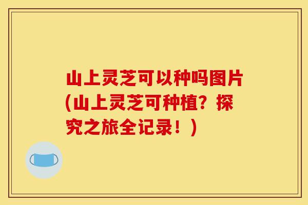 山上灵芝可以种吗图片(山上灵芝可种植？探究之旅全记录！)