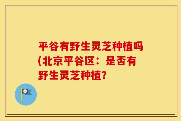 平谷有野生灵芝种植吗(北京平谷区：是否有野生灵芝种植？