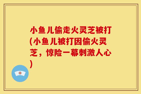 小鱼儿偷走火灵芝被打(小鱼儿被打因偷火灵芝，惊险一幕刺激人心)