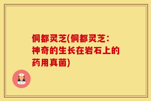 侗都灵芝(侗都灵芝：神奇的生长在岩石上的药用真菌)