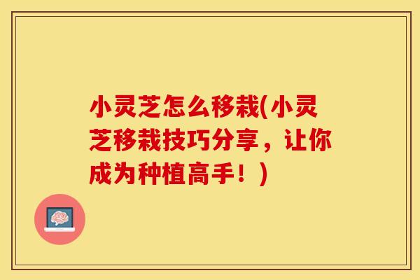 小灵芝怎么移栽(小灵芝移栽技巧分享，让你成为种植高手！)