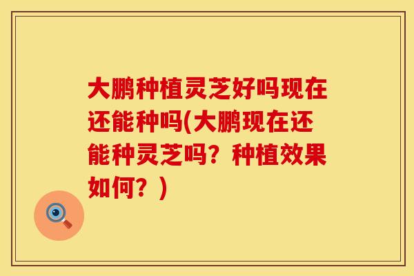 大鹏种植灵芝好吗现在还能种吗(大鹏现在还能种灵芝吗？种植效果如何？)