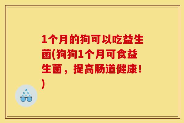 1个月的狗可以吃益生菌(狗狗1个月可食益生菌，提高肠道健康！)