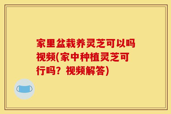 家里盆栽养灵芝可以吗视频(家中种植灵芝可行吗？视频解答)