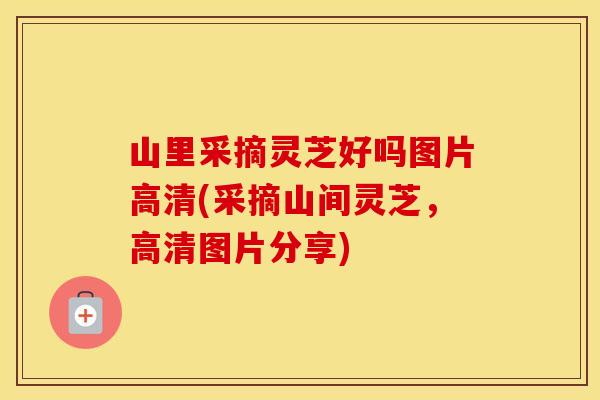 山里采摘灵芝好吗图片高清(采摘山间灵芝，高清图片分享)