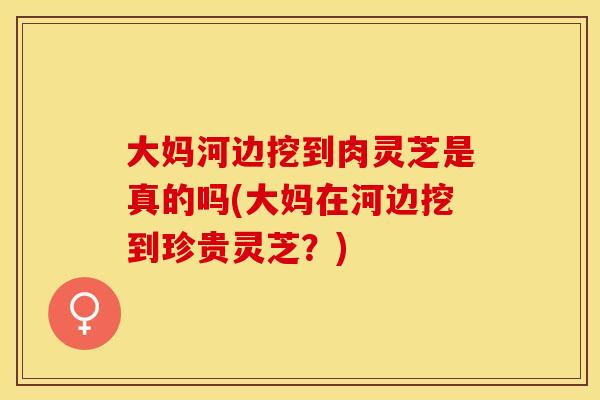 大妈河边挖到肉灵芝是真的吗(大妈在河边挖到珍贵灵芝?) 大妈河边挖到肉灵芝是真的吗(大妈在河边挖到珍贵灵芝?)
