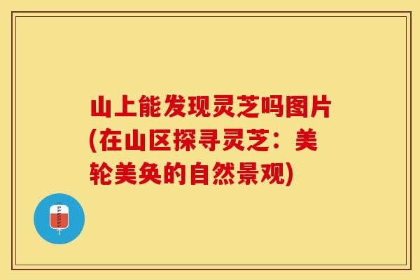 山上能发现灵芝吗图片(在山区探寻灵芝:美轮美奂的自然景观) 山上能发现灵芝吗图片(在山区探寻灵芝:美轮美奂的自然景观)