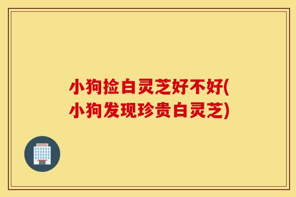 小狗捡白灵芝好不好(小狗发现珍贵白灵芝)