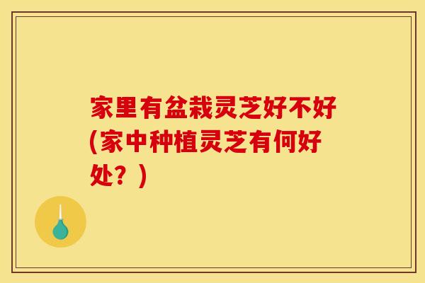 家里有盆栽灵芝好不好(家中种植灵芝有何好处？)