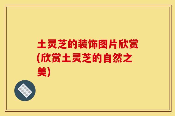 土灵芝的装饰图片欣赏(欣赏土灵芝的自然之美)