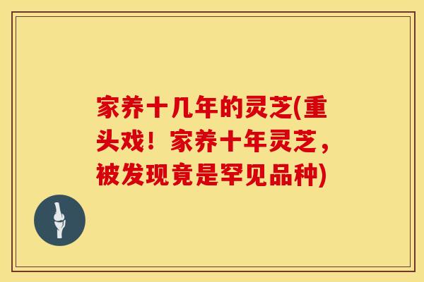 家养十几年的灵芝(重头戏！家养十年灵芝，被发现竟是罕见品种)