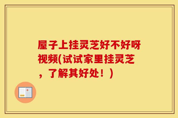屋子上挂灵芝好不好呀视频(试试家里挂灵芝，了解其好处！)