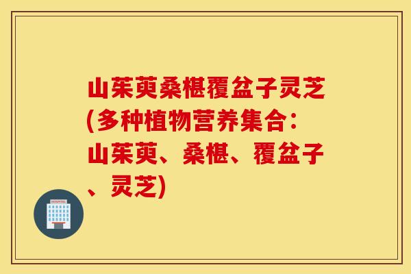 山茱萸桑椹覆盆子灵芝(多种植物营养集合：山茱萸、桑椹、覆盆子、灵芝)