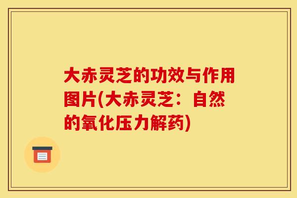 大赤灵芝的功效与作用图片(大赤灵芝：自然的氧化压力解药)