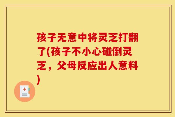 孩子无意中将灵芝打翻了(孩子不小心碰倒灵芝，父母反应出人意料)