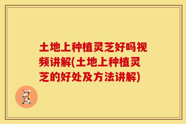 土地上种植灵芝好吗视频讲解(土地上种植灵芝的好处及方法讲解)