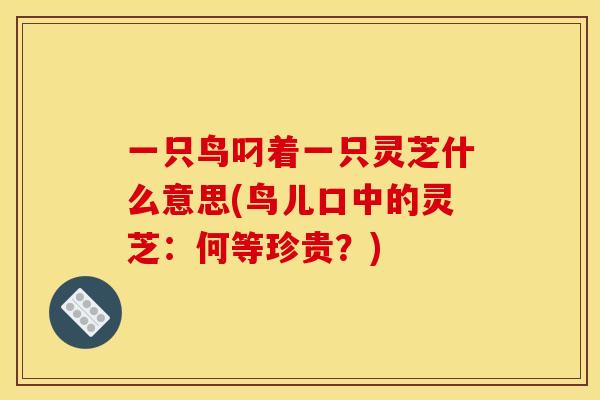 一只鸟叼着一只灵芝什么意思(鸟儿口中的灵芝：何等珍贵？)