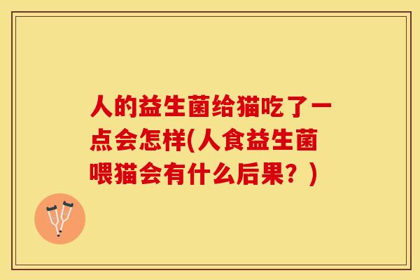 人的益生菌给猫吃了一点会怎样(人食益生菌喂猫会有什么后果？)