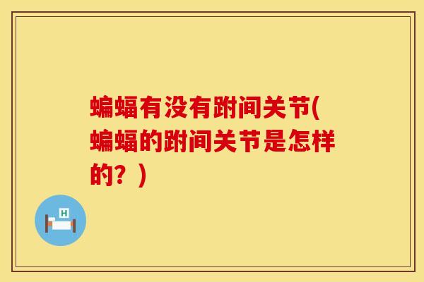 蝙蝠有没有跗间关节(蝙蝠的跗间关节是怎样的？)