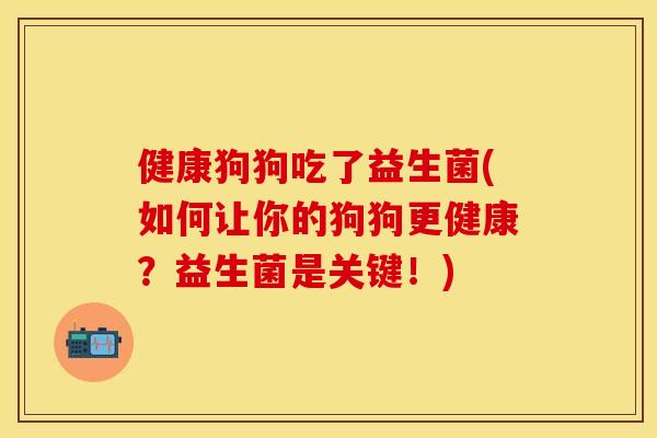 健康狗狗吃了益生菌(如何让你的狗狗更健康？益生菌是关键！)
