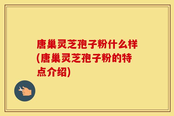 唐巢灵芝孢子粉什么样(唐巢灵芝孢子粉的特点介绍)