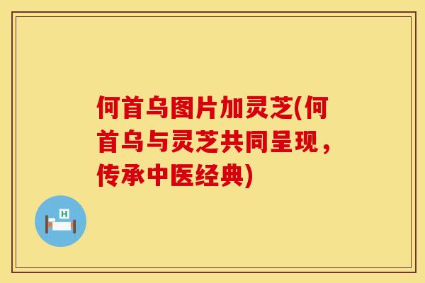 何首乌图片加灵芝(何首乌与灵芝共同呈现，传承中医经典)