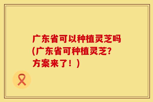 广东省可以种植灵芝吗(广东省可种植灵芝？方案来了！)