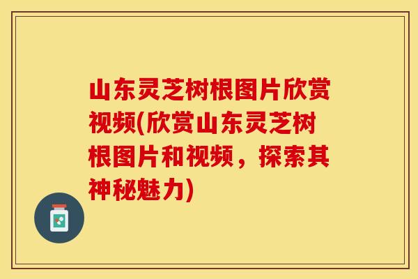 山东灵芝树根图片欣赏视频(欣赏山东灵芝树根图片和视频，探索其神秘魅力)