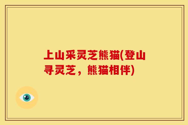 上山采灵芝熊猫(登山寻灵芝，熊猫相伴)