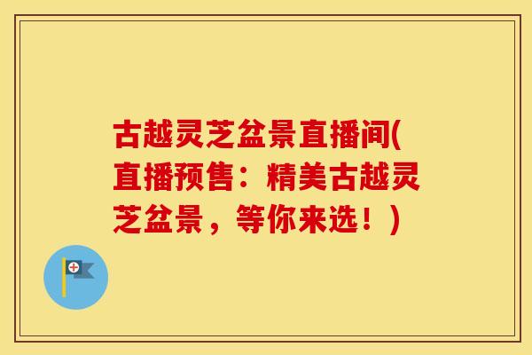 古越灵芝盆景直播间(直播预售：精美古越灵芝盆景，等你来选！)