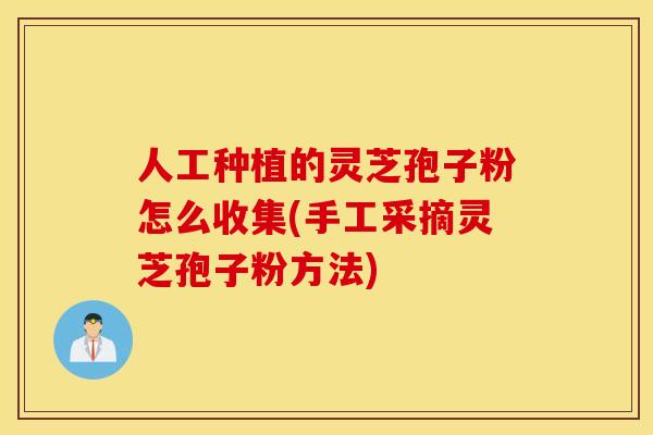 人工种植的灵芝孢子粉怎么收集(手工采摘灵芝孢子粉方法)