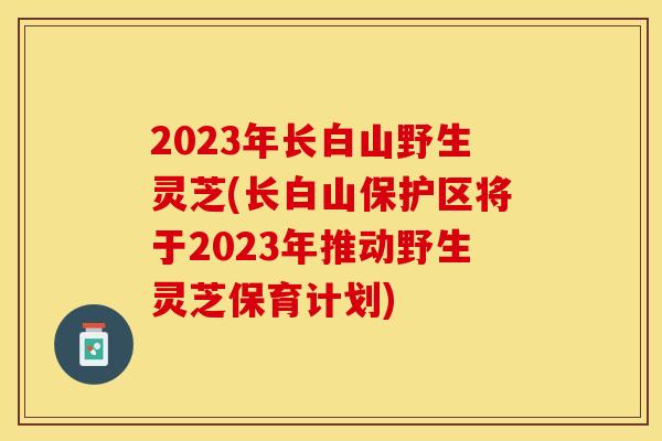 2023年长白山野生灵芝(长白山保护区将于2023年推动野生灵芝保育计划)