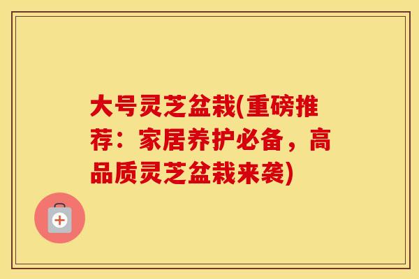大号灵芝盆栽(重磅推荐：家居养护必备，高品质灵芝盆栽来袭)