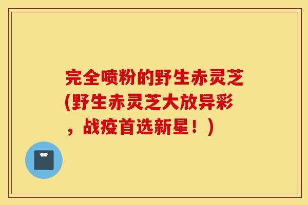 完全喷粉的野生赤灵芝(野生赤灵芝大放异彩，战疫首选新星！)