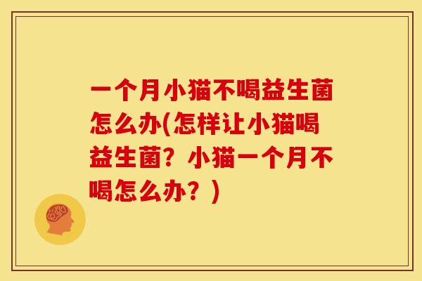 一个月小猫不喝益生菌怎么办(怎样让小猫喝益生菌？小猫一个月不喝怎么办？)