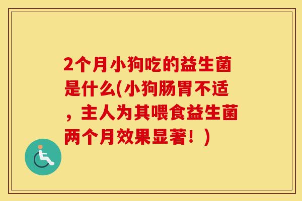 2个月小狗吃的益生菌是什么(小狗肠胃不适,主人为其喂食益生菌两个月效果显著!) 2个月小狗吃的益生菌是什么(小狗肠胃不适,主人为其喂食益生菌两个月效果显著!)