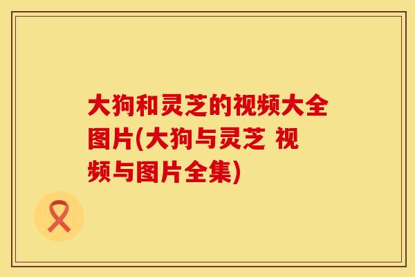 大狗和灵芝的视频大全图片(大狗与灵芝 视频与图片全集)