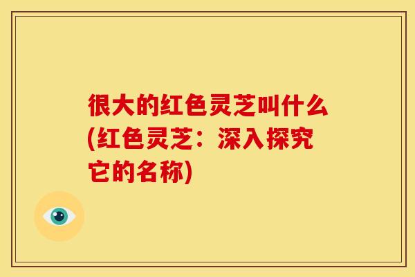 很大的红色灵芝叫什么(红色灵芝：深入探究它的名称)