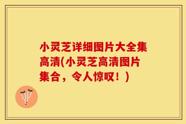 小灵芝详细图片大全集高清(小灵芝高清图片集合，令人惊叹！)
