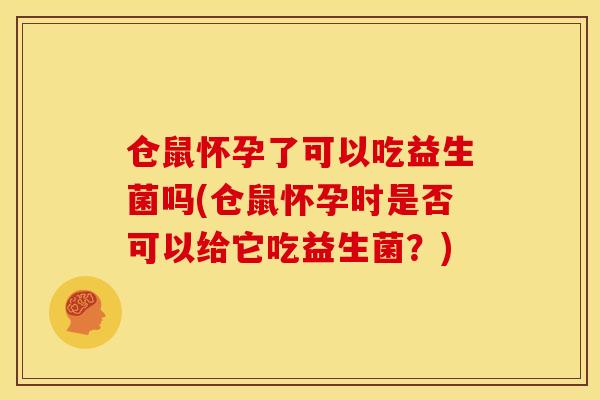 仓鼠怀孕了可以吃益生菌吗(仓鼠怀孕时是否可以给它吃益生菌？)