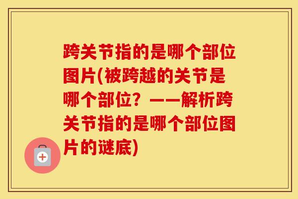 跨关节指的是哪个部位图片(被跨越的关节是哪个部位？——解析跨关节指的是哪个部位图片的谜底)