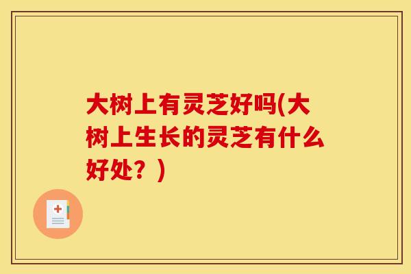 大树上有灵芝好吗(大树上生长的灵芝有什么好处？)