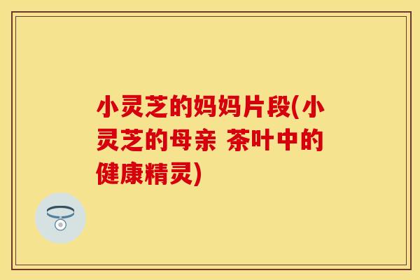 小灵芝的妈妈片段(小灵芝的母亲 茶叶中的健康精灵)