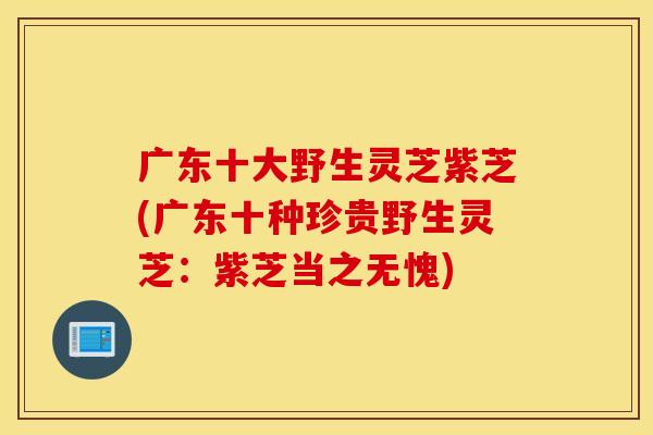 广东十大野生灵芝紫芝(广东十种珍贵野生灵芝：紫芝当之无愧)