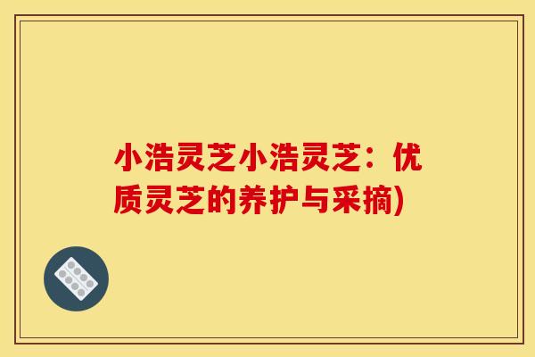 小浩灵芝小浩灵芝：优质灵芝的养护与采摘)