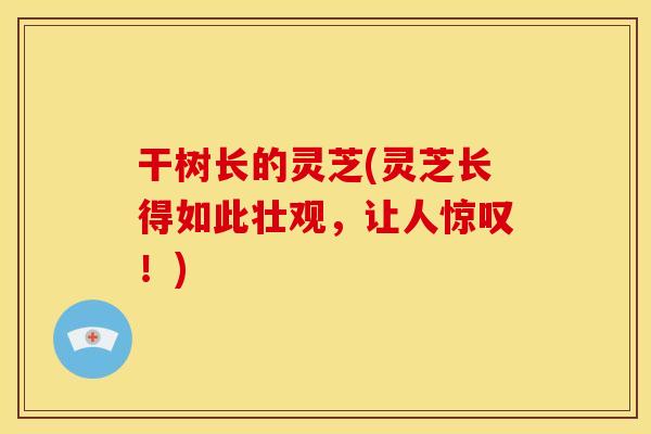 干树长的灵芝(灵芝长得如此壮观，让人惊叹！)