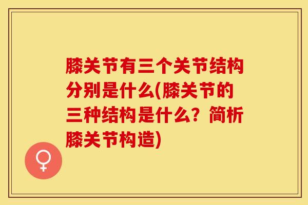 膝关节有三个关节结构分别是什么(膝关节的三种结构是什么？简析膝关节构造)