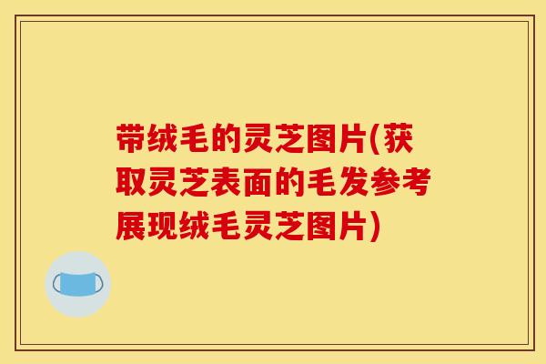 带绒毛的灵芝图片(获取灵芝表面的毛发参考展现绒毛灵芝图片)