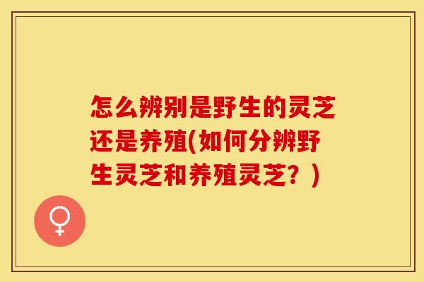 怎么辨别是野生的灵芝还是养殖(如何分辨野生灵芝和养殖灵芝？)